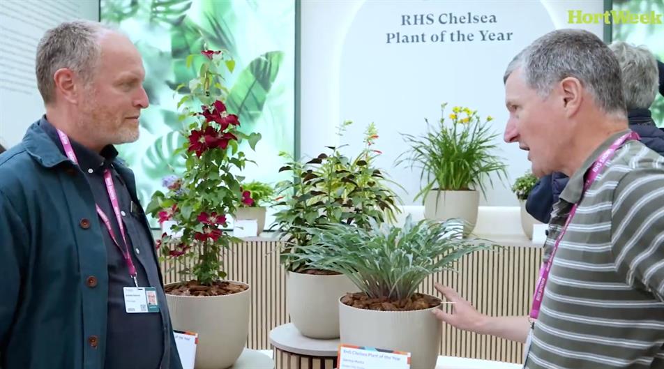 Graham Spencer and Matthew Appleby discuss Hosta ‘Silly String’